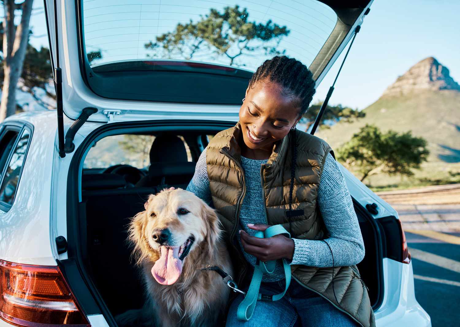 How can i transport my dog to another state?