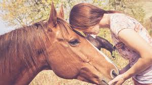 How to Become an Animal Communicator?