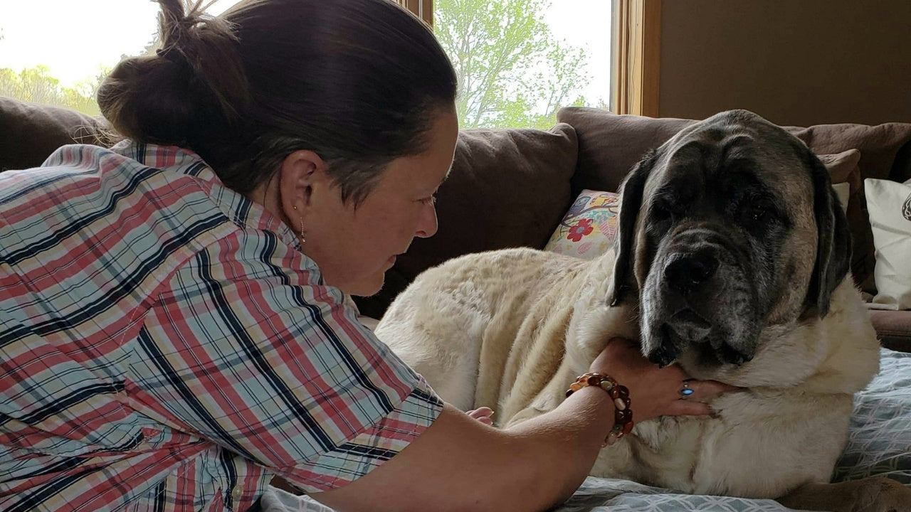 Unfolding the Secrets of Animal Communication, A Guide to Becoming an Animal Communicator ?