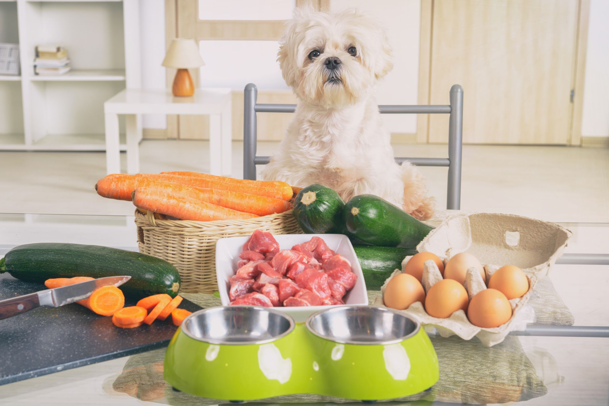 How to Make Homemade Food for Dogs ?